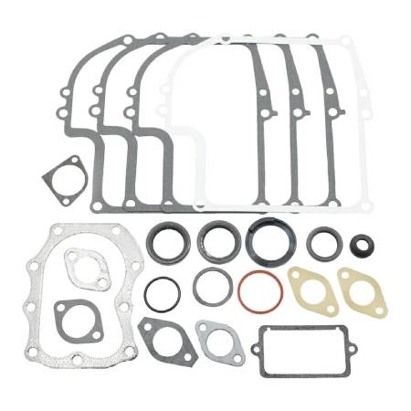 299577 Gasket Set-Engine #