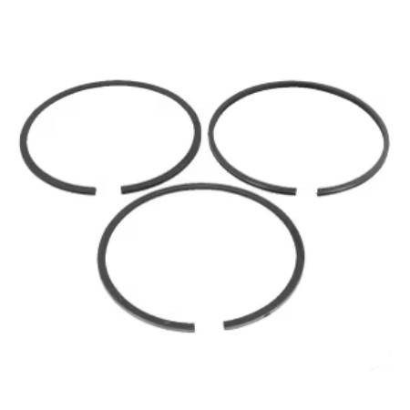 299690 Piston Ring Set-Std #