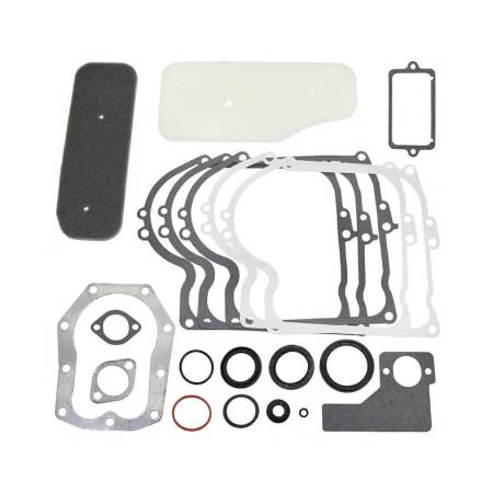 393411 Gasket Set-Engine #