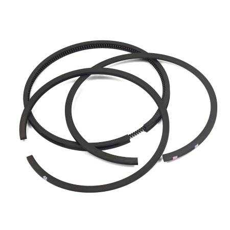 394959 Ring Set-Std #