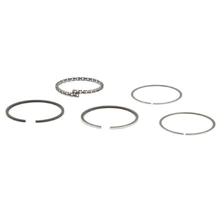 399067 Ring Set-Std #