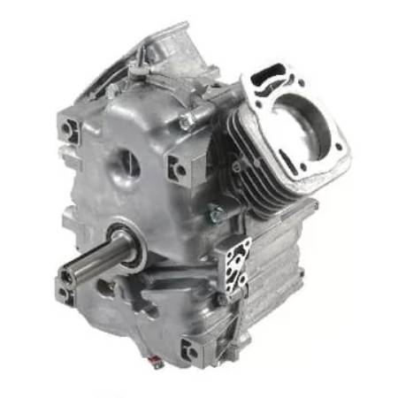 494057 - Short Block - Model 29 + 30 Vanguard V-Twin - Vertical Crankshaft = 25mm (1