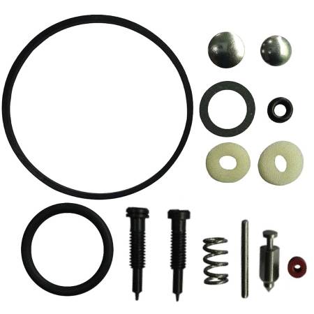 494349 Carburettor Overhaul Kit