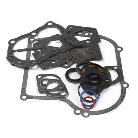 495603 Gasket Set-Engine #