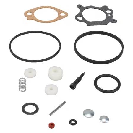 498260 Carb overhaul kit 