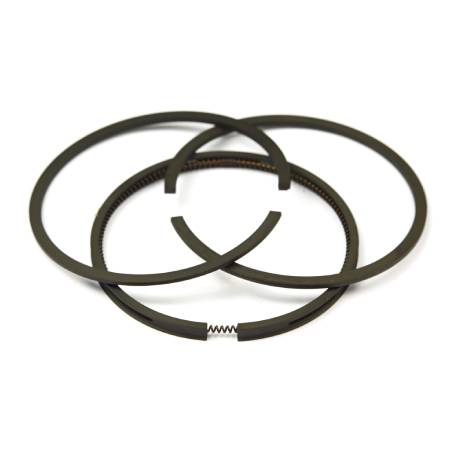 499921 Ring Set-Std #