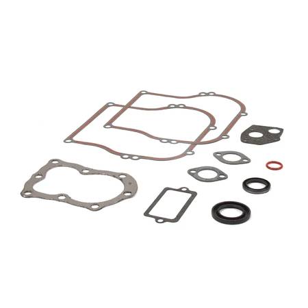 555210 Gasket Set-Engine #