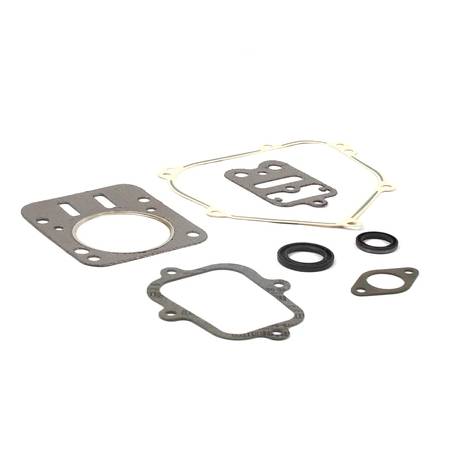 555631 Gasket Set-Engine #