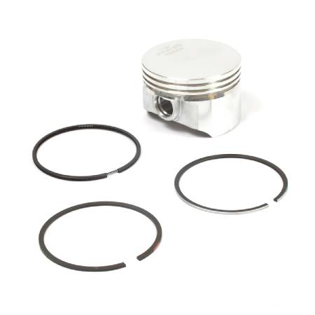 555660 Piston Assembly #