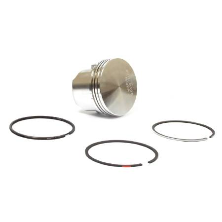 555661 Piston Assembly-010 #