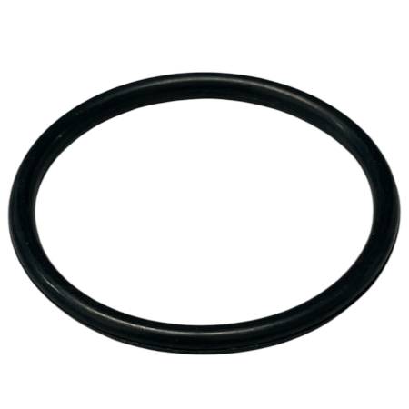 557007 O-Ring/Seal #