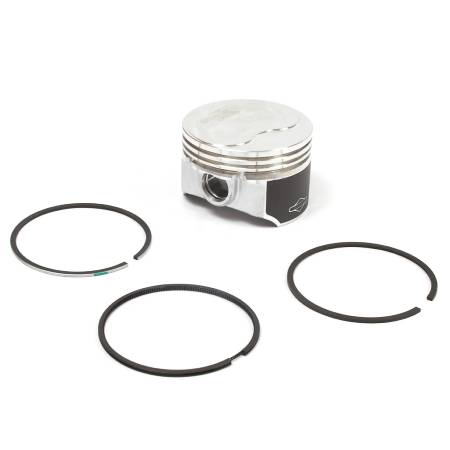 557123 Piston Assembly-020 #