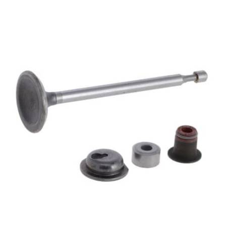 590530 Intake Valve #