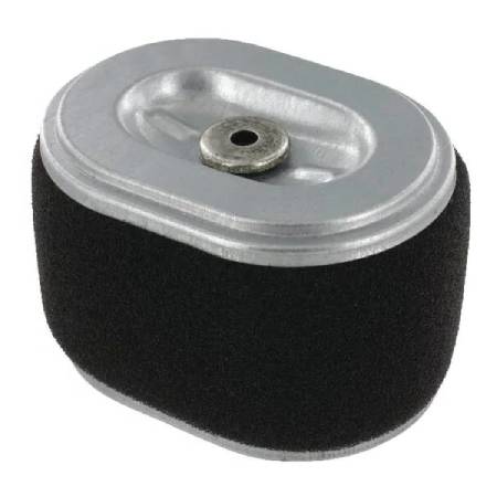 590601 Air Filter/Cleaner