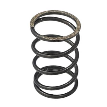 590650 Valve Spring #