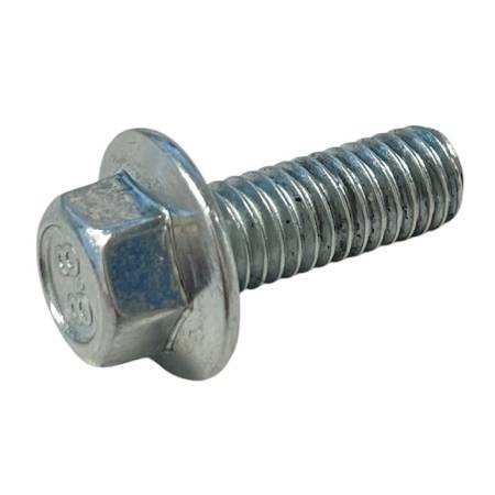 590703 Screw #2