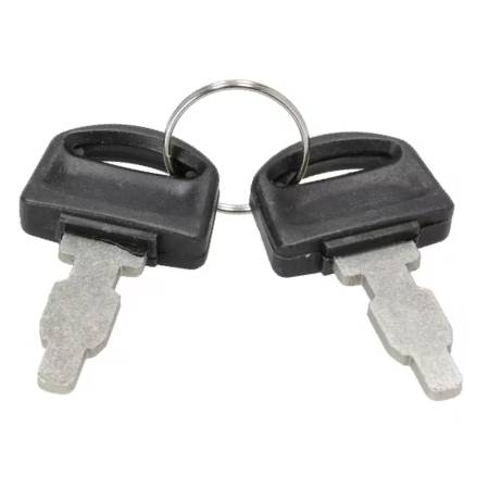 590996 Ignition Key Set #