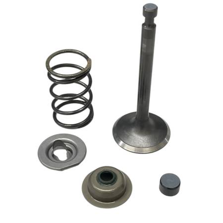 591447 Intake Valve Set #1