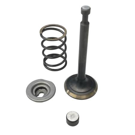 591448 Exhaust Valve Set #1
