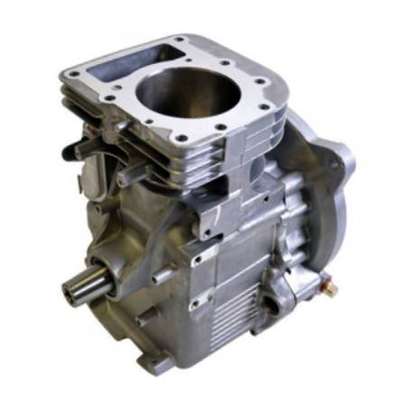 592055 - Short Block - Model 21 OHV - Vertical Crankshaft = 25mm (1