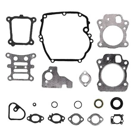 592173 Engine Gasket Set #1
