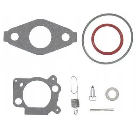 592483 Carburettor Overhaul Kit (Huayi) #