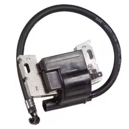 592846 Ignition Coil/Armature