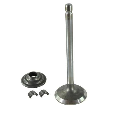 593632 Exhaust Valve #