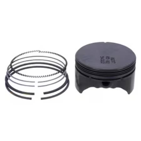 594099 Piston Assembly #