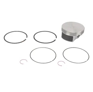 594539 Piston Assembly #