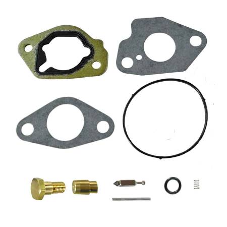 596705 Carburettor Overhaul Kit #
