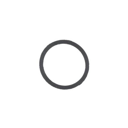 597042 Fuel Bowl Gasket #