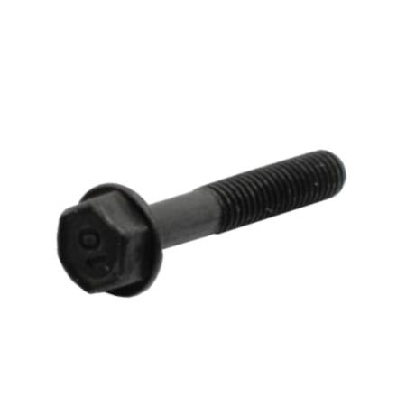 690698 Screw #2