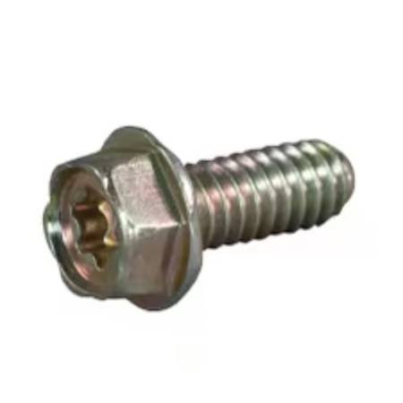 690810 Screw #