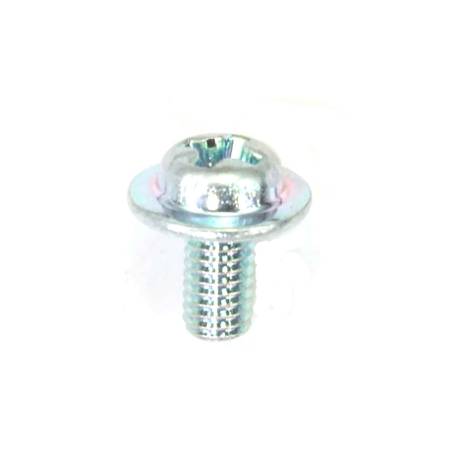690991 Screw #