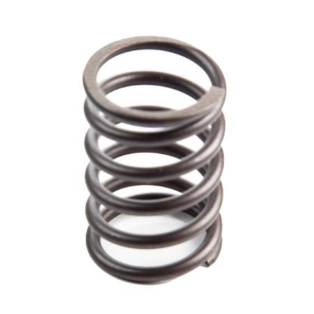 691279 Valve Spring #2
