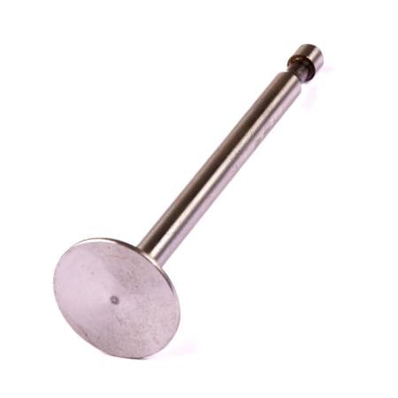 691287 Exhaust Valve #3