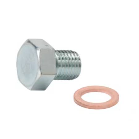 691511 Carburettor Plug #