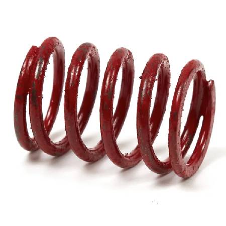 691597 Spring-Valve #