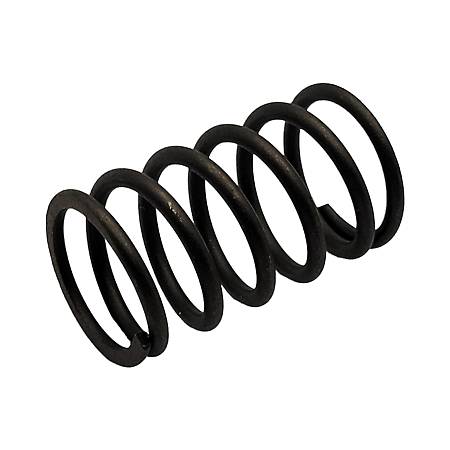 691605 Valve Spring #