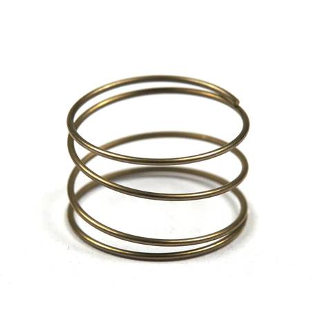691801 Spring-Pump Diaph #