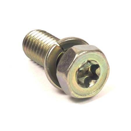 691902 Screw #2