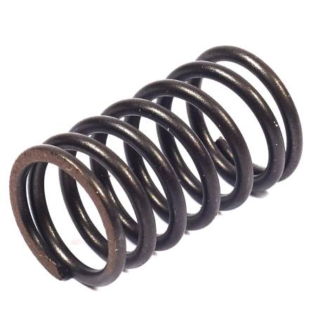 692180 Valve Spring #
