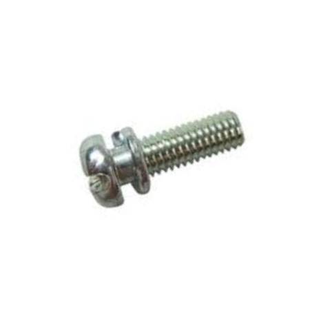 695407 Screw #