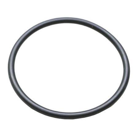 697123 O-Ring/Seal #