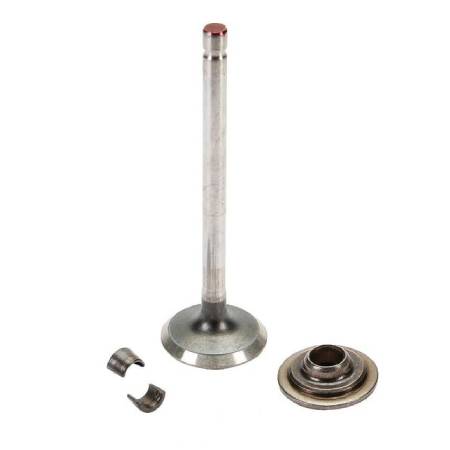 697576 Exhaust Valve #