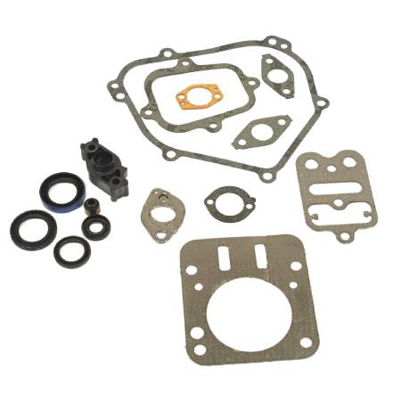 698216 Gasket Set-Engine #