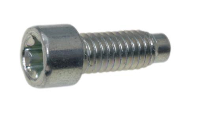 698941 Exhaust Screw 