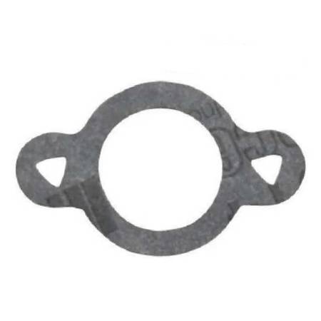 699649 Intake Gasket 