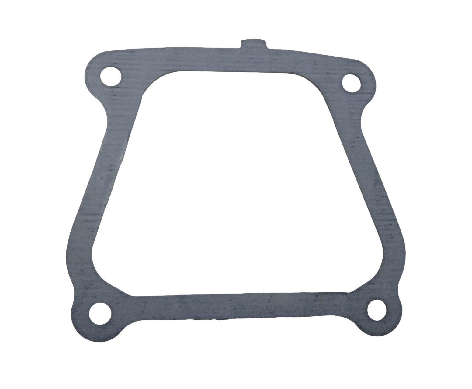 710024 Rocker Cover Gasket 